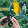 imageAurosports 10x25 Binoculars for Adults and Kids Large View Compact Binoculars with Low Light Vision Easy Focus Small Binocular for Bird Watching Outdoor Travel Sightseeing Concert Hunting Hiking10x25